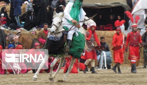 عکس اسب امام حسین واقعی