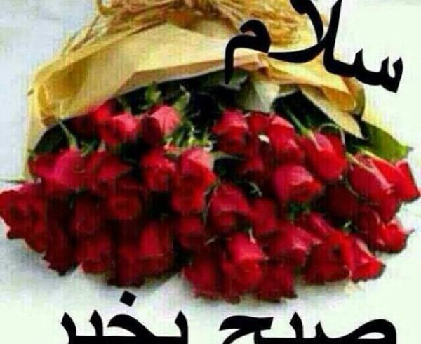 عکس گلهای زیبا صبح بخیر