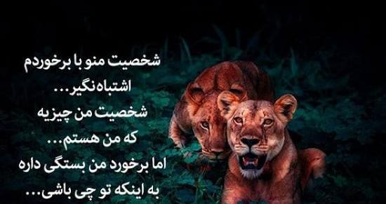 عکس لاتی شیر