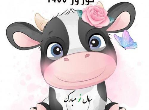 عکس گاو برای سال ۱۴۰۳