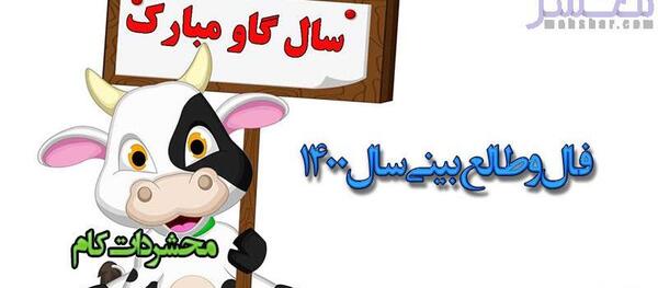 عکس گاو برای سال ۱۴۰۳