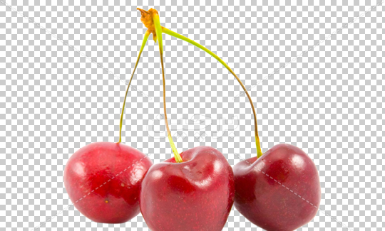 عکس لواشک گیلاس