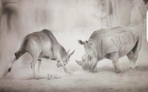 عکس ساده حیوان برای طراحی