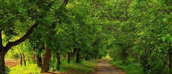 عکس از طبیعت ایران