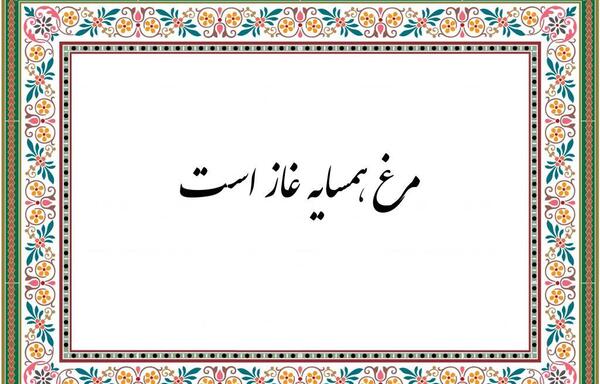 عکس ضرب المثل مرغ همسایه غاز است