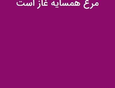 عکس ضرب المثل مرغ همسایه غاز است