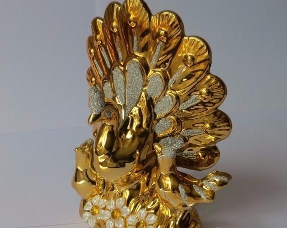 عکس طاووس طلایی