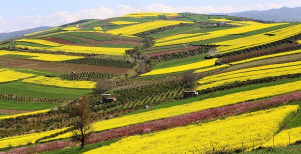 ایران عکس جاهای دیدنی