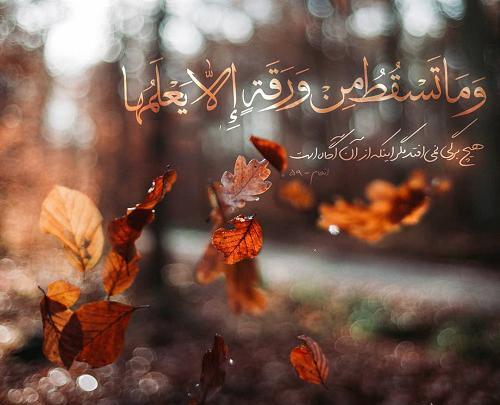 عکس پروفایل قرانی شیک
