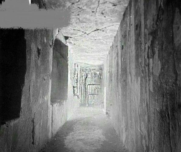 عکس قبر داریوش