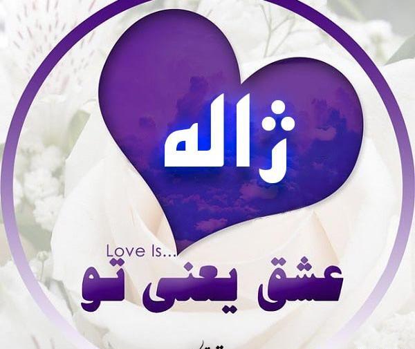 عکس قلب ژاله