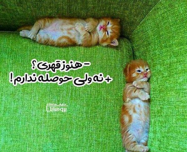 عکس نوشته عاشقانه قهری