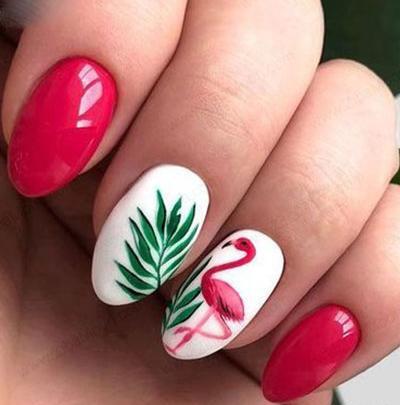 عکس گاو رو ناخن