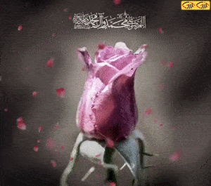 عکس صلوات متحرک