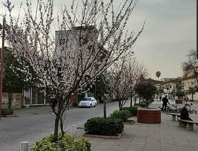 عکس بهاری رشت