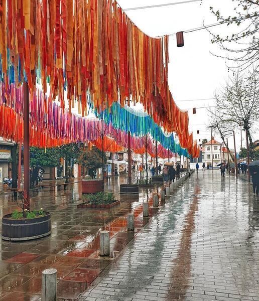 عکس بهاری رشت