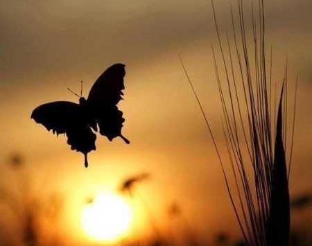عکس منظره زیبا و عاشقانه