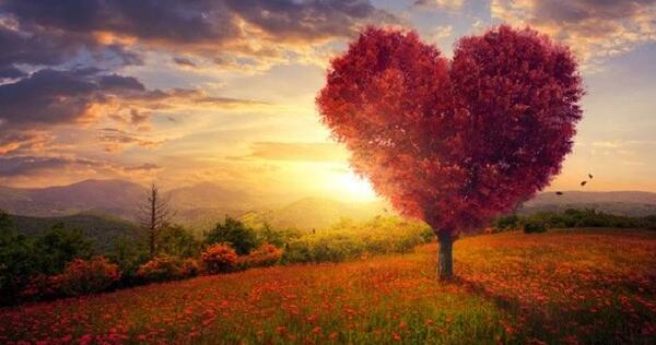 عکس منظره زیبا و عاشقانه