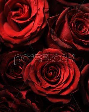 عکس دسته گل پژمرده