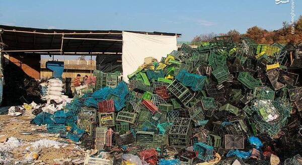عکس ضایعات کارتون