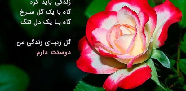 عکس پروفایل زیبا وجذاب