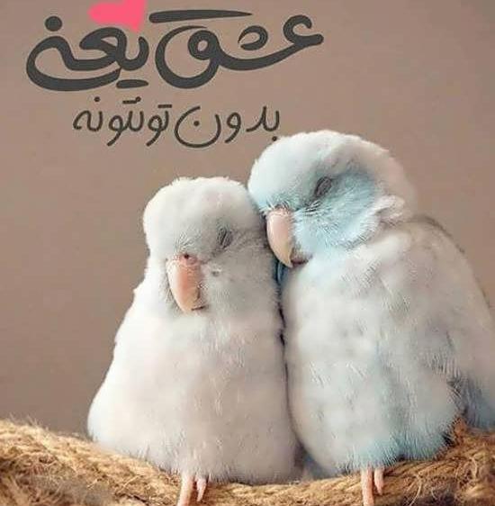 عکس پروفایل عاشقانه شاد