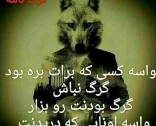 عکس نوشته گرگ صفت