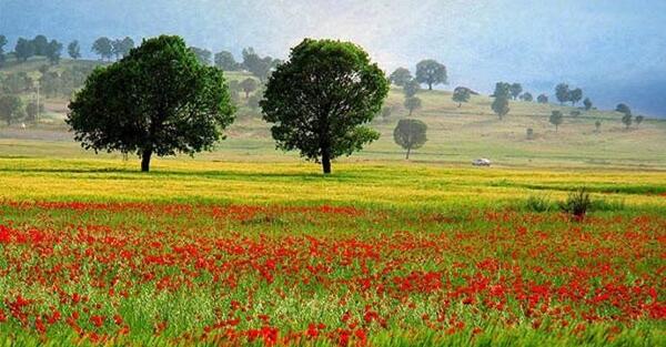 عکس بهار ایران
