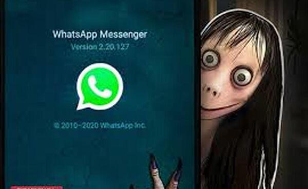 عکس لو لو مومو