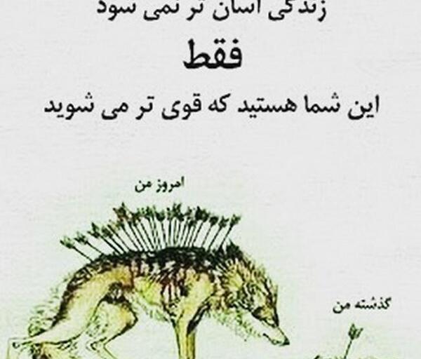 عکس مفهومی لاتی
