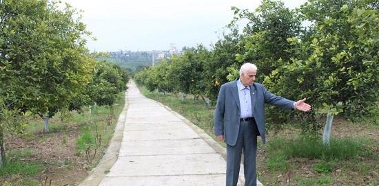 عکسهای امام علی حبیبی
