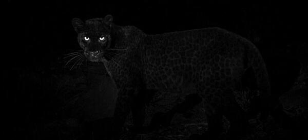 عکس مشکی ساده با کیفیت