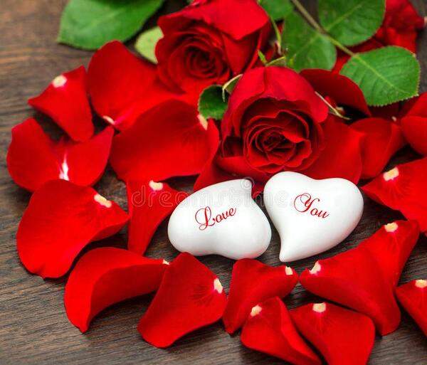 عکس پروفایل گل عاشقانه جدید
