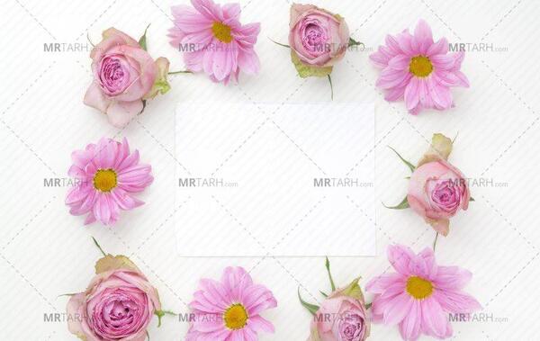 عکس ساده گلدار برای نوشتن متن