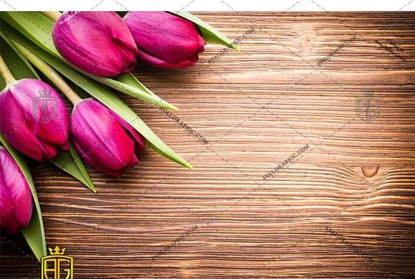 عکس گل لاله برای پروفایل