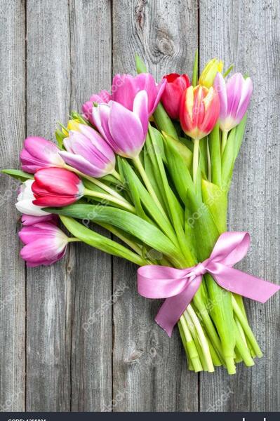 عکس گل لاله برای پروفایل