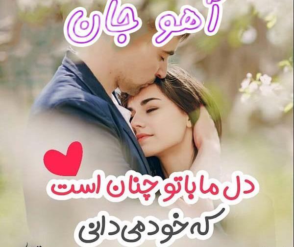 عکس آهو عاشقانه