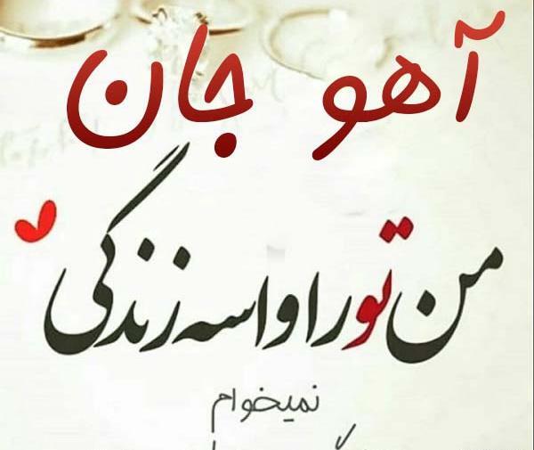 عکس آهو عاشقانه