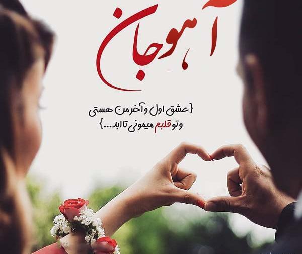 عکس آهو عاشقانه
