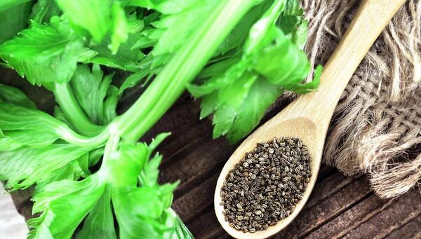 عکس تصویر کرفس