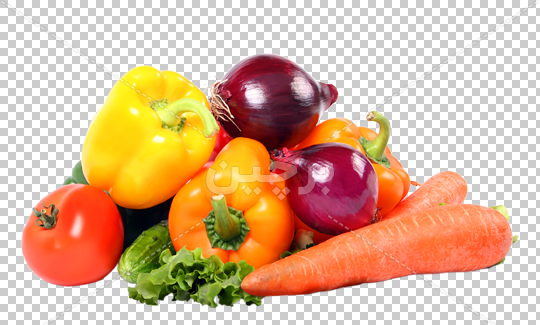 عکس تصویر کرفس