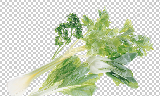 عکس تصویر کرفس