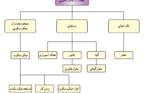 عکس قران ششم درس دهم