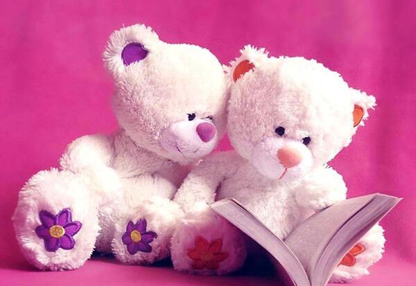 عکس تصویر زمینه خرس