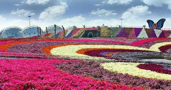 عکس گل های زیبای دنیا