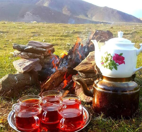عکس طبیعت چای