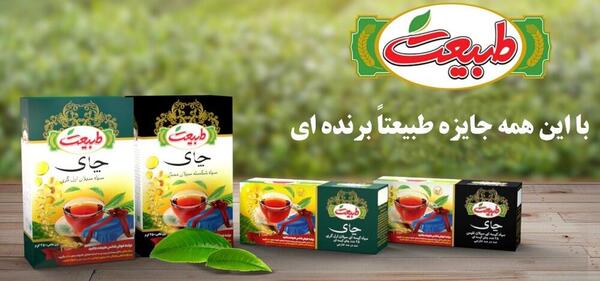 عکس طبیعت چای