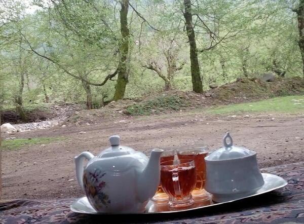 عکس طبیعت چای