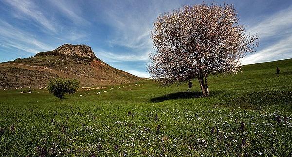 عکس از طبیعت آذربایجان