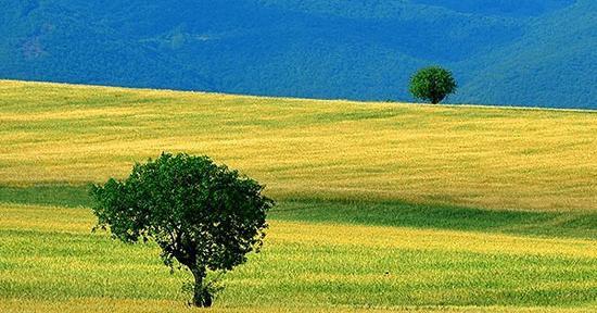 عکس از طبیعت آذربایجان